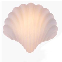 Decorative-Shell-Wall-Sconces